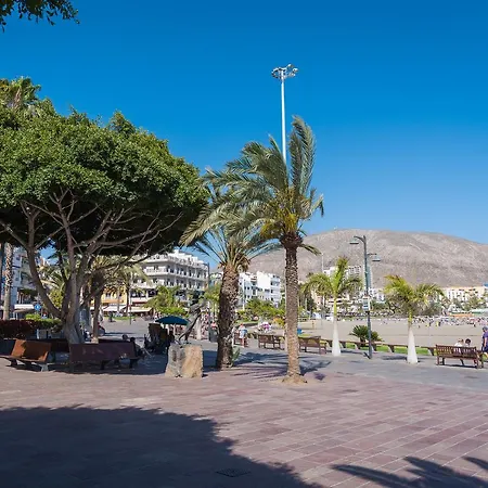 Modern Cristianos Center Los Cristianos (Tenerife)